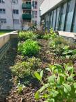 Garten4.0-min_original