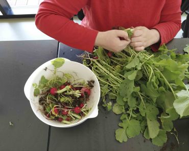 Blick aus der Vogelperspektive: ein Bund Kräuter und eine Schüssel mit Radieschen