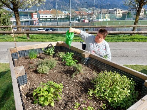 eine Frau im Rollstuhl steht vor einem Hochbeet und gießt die Pflanzen im Beet