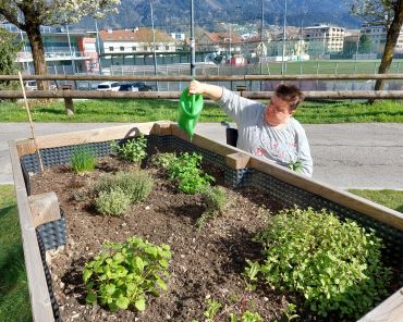 eine Frau im Rollstuhl steht vor einem Hochbeet und gießt die Pflanzen im Beet
