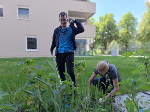 Ein Mann mit Behinderung und eine Unterstützerin arbeiten im Garten einer Wohnanlage an einem grünen Beet