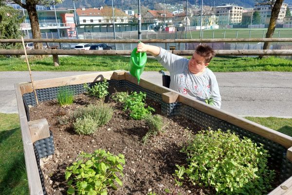 eine Frau im Rollstuhl steht vor einem Hochbeet und gießt die Pflanzen im Beet