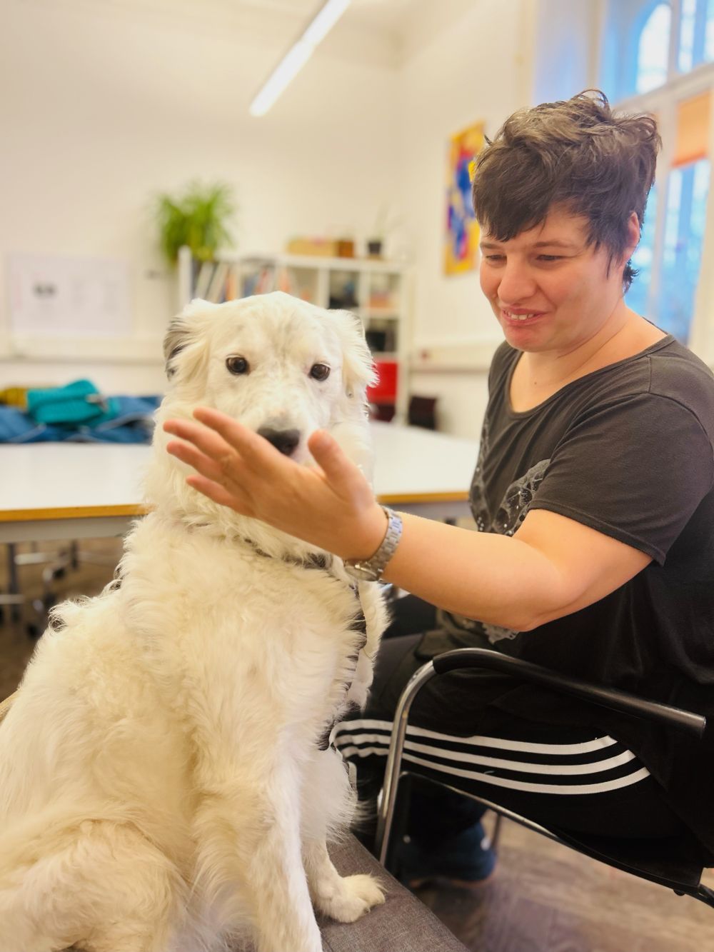 eine Frau hält ihre flache Hand vor die Schnauze von einem weißen Therapiehund