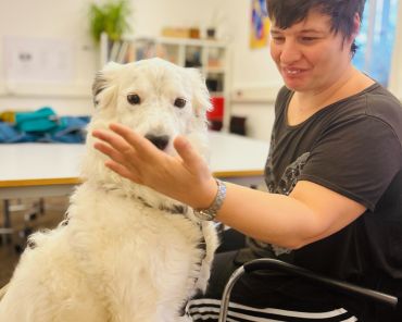 eine Frau hält ihre flache Hand vor die Schnauze von einem weißen Therapiehund